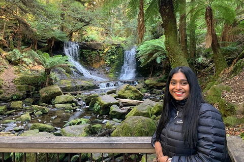 Day Tour In Mt. Field, Mt. Wellington, Bonorong Wildlife Sanctuary And Richmond - Accommodation Australia 5