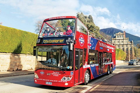 Hobart Hop-On Hop-Off Bus & Kunanyi/Mt Wellington Tour - Local Tourism 4
