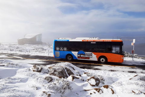 Hobart Hop-On Hop-Off Bus & Kunanyi/Mt Wellington Tour - Local Tourism 5
