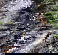Full-Day Canyoning Experience at Stunning Empress Canyon - Local Tourism