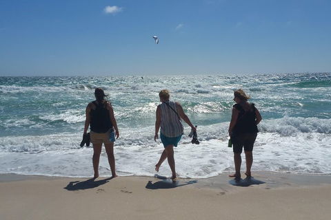 Very Best Of Perth Tour - Wildlife Park & City Highlights Tour - Accommodation Australia 5