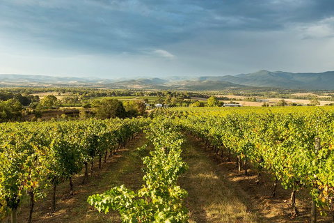 Yarra Valley Local Produce And Wine Tasting Tour - Accommodation Australia 3