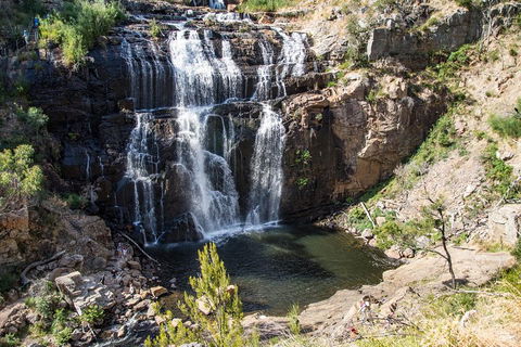 Small-Group Grampians Great Wilderness Escape Day Trip With Hiking - Accommodation Australia 0