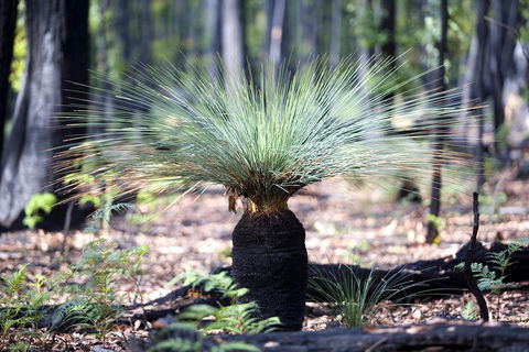 Small-Group Grampians Great Wilderness Escape Day Trip With Hiking - Accommodation Australia 2