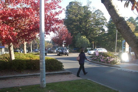 PRIVATE All-Day Blue Mountains Tour With Professional Guide For Up To 4 People - Local Tourism 1