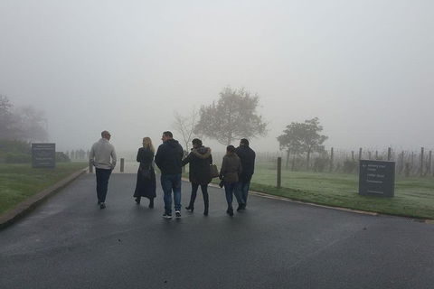 Chauffeur Driven Yarra Valley Group Wine Tour - Up To 7 - Local Tourism 4