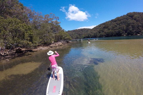Ku-ring-gai Chase National Park Stand Up Paddleboard Tour - Accommodation Australia 0