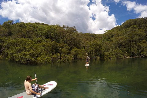 Ku-ring-gai Chase National Park Stand Up Paddleboard Tour - Accommodation Australia 1