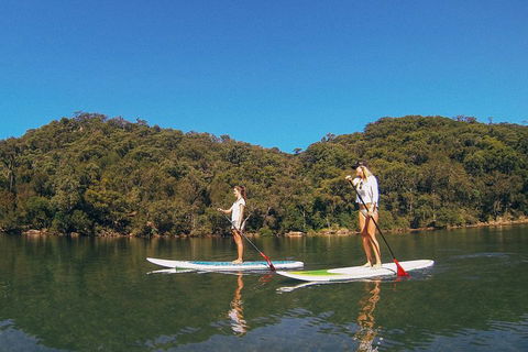 Ku-ring-gai Chase National Park Stand Up Paddleboard Tour - Accommodation Australia 2