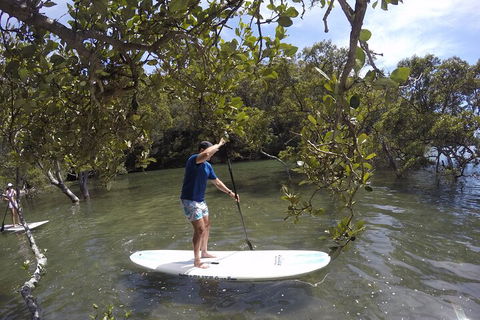 Ku-ring-gai Chase National Park Stand Up Paddleboard Tour - Accommodation Australia 3