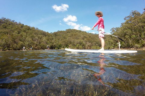 Ku-ring-gai Chase National Park Stand Up Paddleboard Tour - Accommodation Australia 4