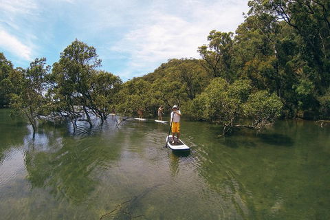 Ku-ring-gai Chase National Park Stand Up Paddleboard Tour - Accommodation Australia 5