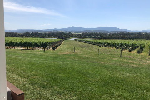 Yarra Valley, Dandenong Ranges Inc. Lunch With Wine,plus Morning Tea,chocolate - Accommodation Australia 3