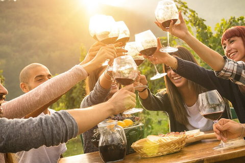 Yarra Valley, Dandenong Ranges Inc. Lunch With Wine,plus Morning Tea,chocolate - Accommodation Australia 4