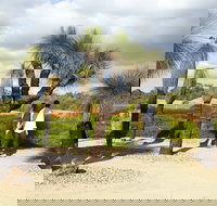 1 Day Exclusively Private Tour Of Phillip Island  The Penguin Parade - Accommodation Australia