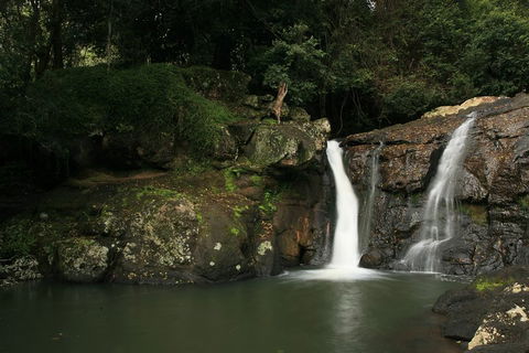 Hinterland Magic & Glow-worm Experience - Accommodation Australia 2