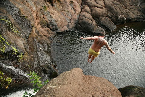 Hinterland Magic & Glow-worm Experience - Accommodation Australia 3