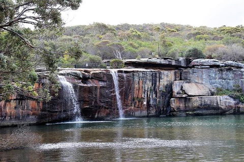 Royal National Park Tour - Accommodation Australia 1