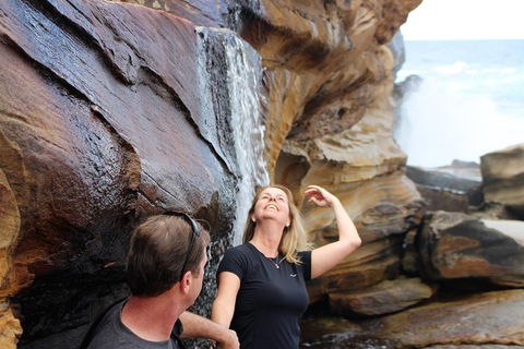 Royal National Park Tour - Accommodation Australia 4