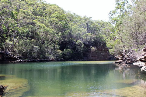 Royal National Park Tour - Accommodation Australia 5