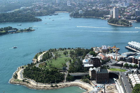 Half Day Manly Beach And More - Local Tourism 1