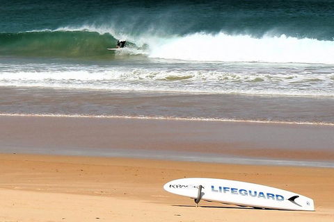 Half Day Manly Beach And More - Local Tourism 5