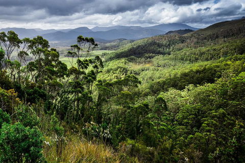 3-Day Tour To The Falls, Mountains, Lake & More Of West Coast Tasmania - Accommodation Australia 0