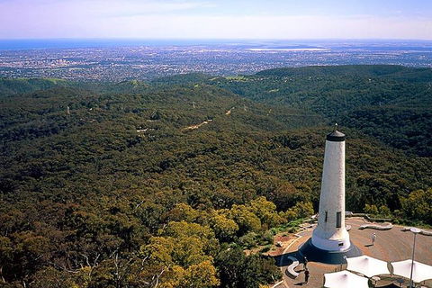 Adelaide Shore Excursion: Adelaide City Tour By Private Limo - Bed n Breakfasts 3