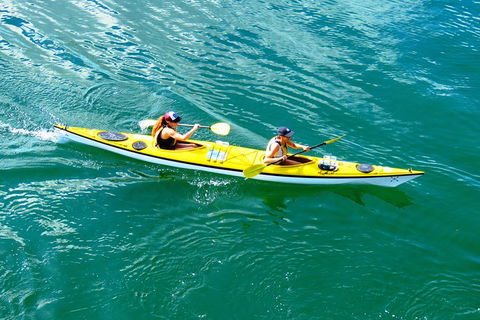 Self-Guided Sydney Middle Harbour Kayak 3 Hour Tour By Double Kayak - Australia Shopping 1