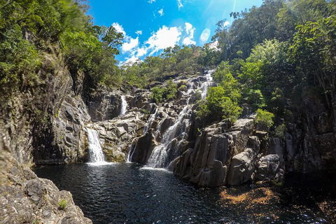 Behana Canyon Rainforest And Waterfall Experience - Accommodation Australia 5