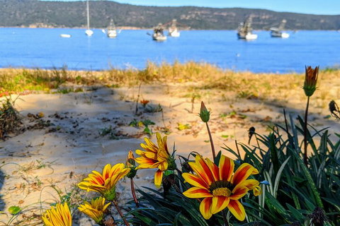 Central Coast Explorer With 'Personalised Sydney Tours' - Local Tourism 2