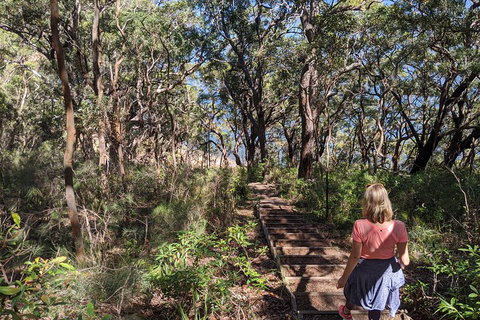 Central Coast Explorer With 'Personalised Sydney Tours' - Local Tourism 4