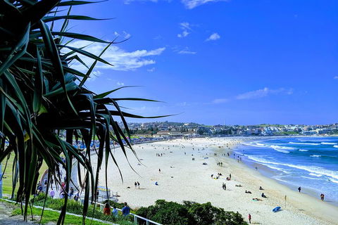 Sydney Secrets & Bondi Private 4 Hour Afternoon With 'Personalised Sydney Tours' - Local Tourism 0