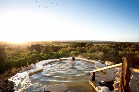 Peninsula Hot Springs & Wine Tasting - Day Tour - Accommodation Australia 0