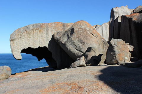 Kangaroo Island Personal Group Tours - Accommodation Australia 2
