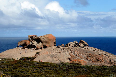Kangaroo Island Personal Group Tours - Accommodation Australia 5