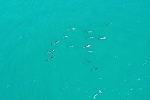 Port Macquarie Hastings Explorer - 30 Min VIP Private Flight - Local Tourism 4