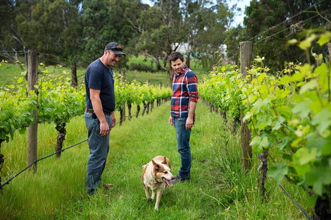 LGBT+ Friendly Full Day Yarra Valley & Dandenong Ranges Private Tour - Accommodation Australia 4