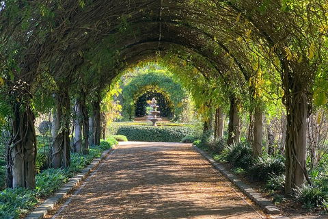LGBT+ Friendly Full Day Yarra Valley & Dandenong Ranges Private Tour - Accommodation Australia 5