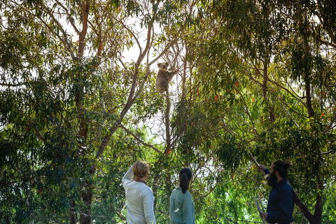 LGBT+ Friendly 3 Day Tour The Grampians, Daylesford & Ballarat - Local Tourism 4