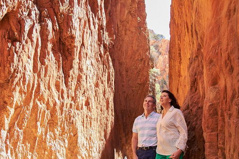Best Of Alice Springs Full Day Tour - Accommodation Australia 4