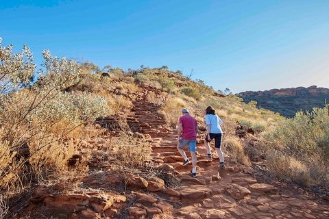 3-Day Tour From Uluru (Ayers Rock) To Alice Springs Via Kings Canyon - Local Tourism 3