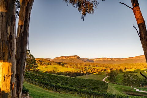 Taste Of The Blue Mountains - Lunch & Wine Tasting, Beer, Cider & Gin Tasting - Accommodation Australia 1