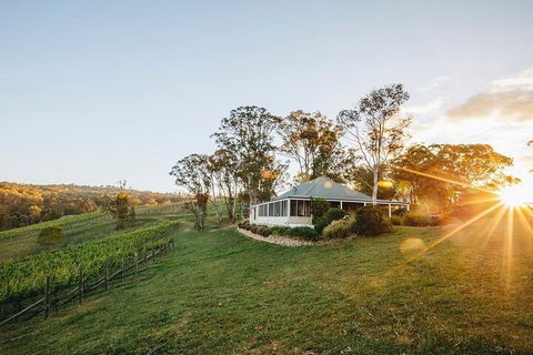 Taste Of The Blue Mountains - Lunch & Wine Tasting, Beer, Cider & Gin Tasting - Accommodation Australia 2