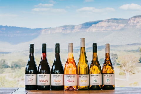Taste Of The Blue Mountains - Lunch & Wine Tasting, Beer, Cider & Gin Tasting - Accommodation Australia 3
