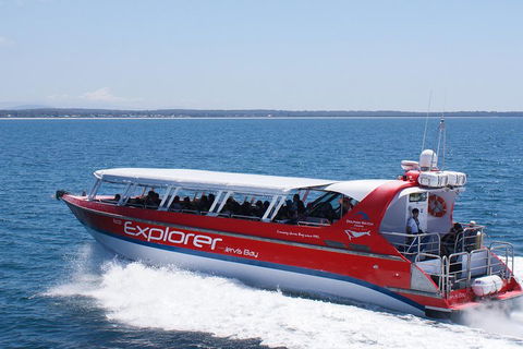 Whale Watching Jervis Bay - Accommodation Australia 1