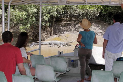Whitsunday Crocodile Safari Including Lunch - Accommodation Australia 4