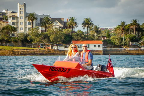 Sydney Speed Boat Adventure Harbour Tour - Accommodation Australia 4