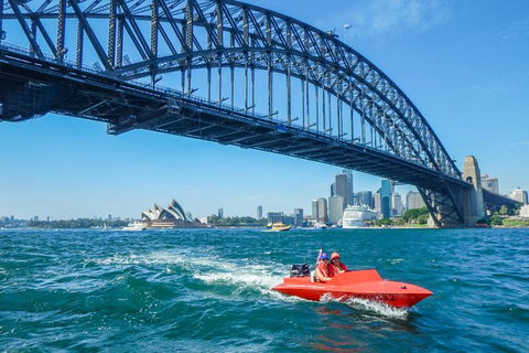 Sydney Speed Boat Adventure Harbour Tour - Accommodation Australia 5