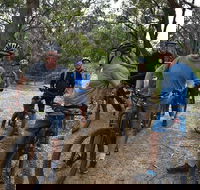 Fully guided E-Mountain Bike Tour on the beautiful Mornington Peninsula. - Accommodation Australia